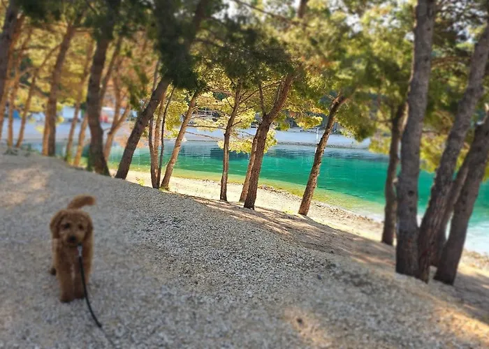 Mobile Sea Shell Sime, 別荘 *