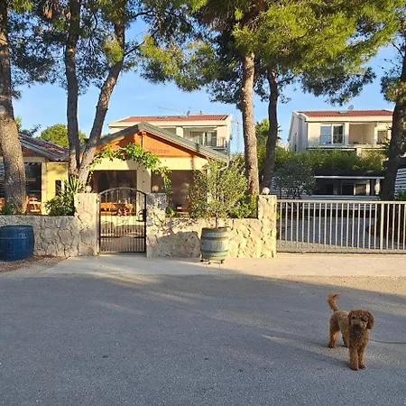 Mobile Sea Shell Sime,