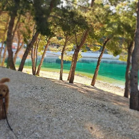 Mobile Sea Shell Sime, Prázdninový dům *