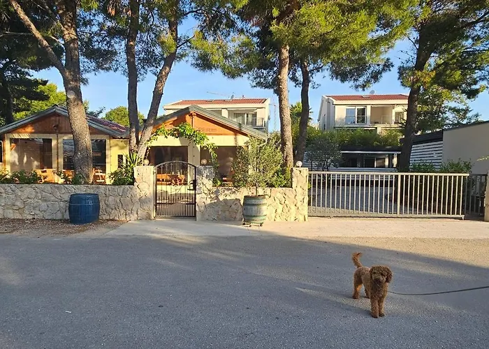 Mobile Sea Shell Sime,